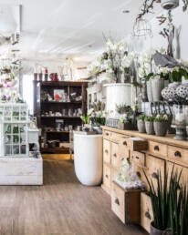 schicker kleiner Blumenladen mit vielen Details