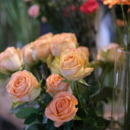 Blumenabo Blütenzauber Package von der Bluamazaina